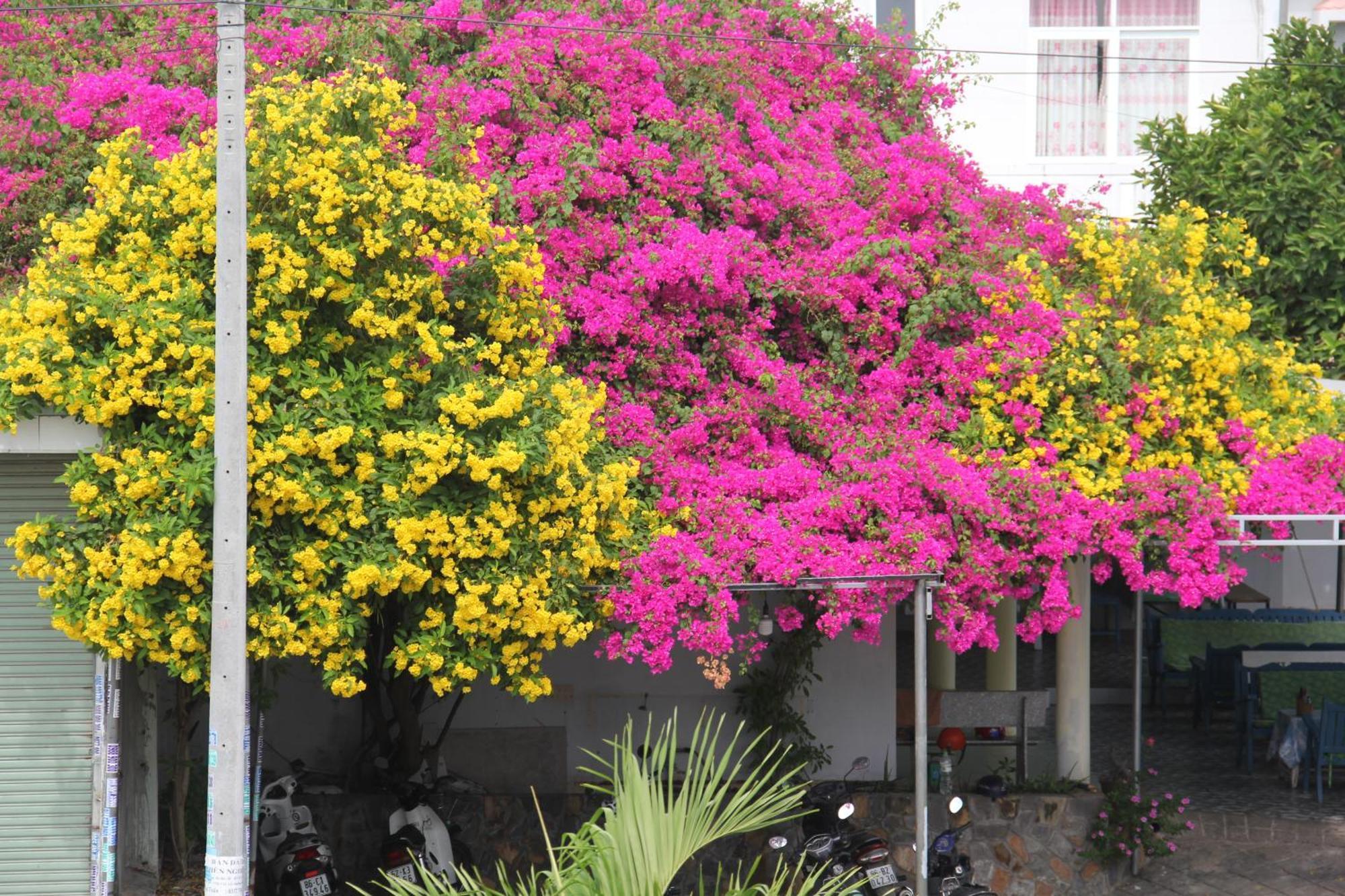 Dynasty Muine Resort Ap Thien Phuoc 外观 照片